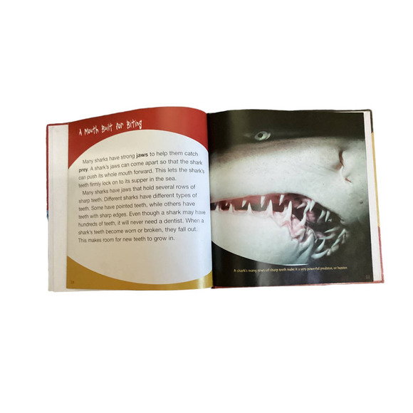 SHarks and Fish Set of 4 Informative Books with Pictures Hardcovers - Picture 5 of 6